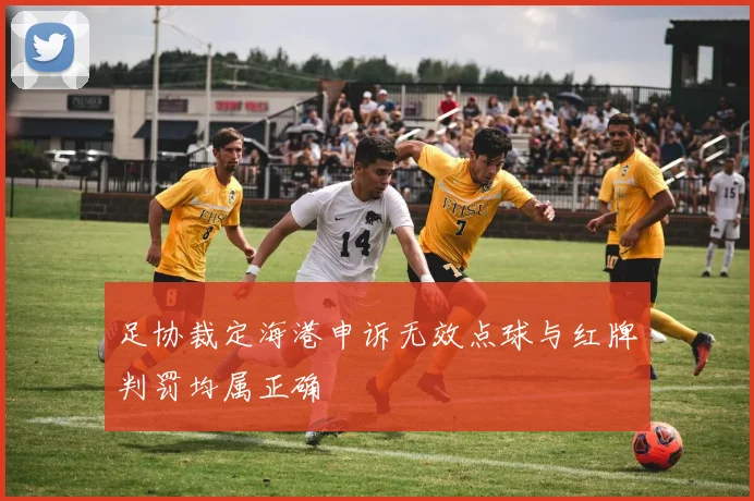 足协裁定海港申诉无效点球与红牌判罚均属正确